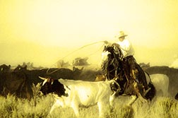 PC round up !